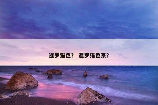 暹罗猫色？ 暹罗猫色系？