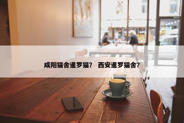 咸阳猫舍暹罗猫？ 西安暹罗猫舍？