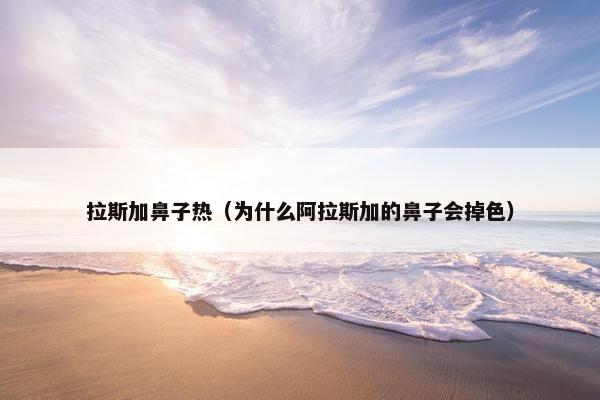 拉斯加鼻子热（为什么阿拉斯加的鼻子会掉色）