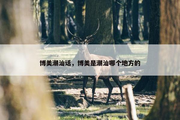 博美潮汕话，博美是潮汕哪个地方的
