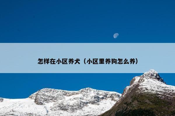 怎样在小区养犬（小区里养狗怎么养）