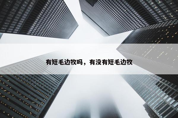 有短毛边牧吗，有没有短毛边牧
