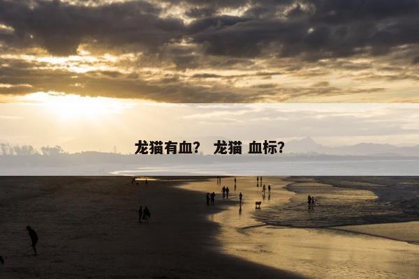 龙猫有血？ 龙猫 血标？