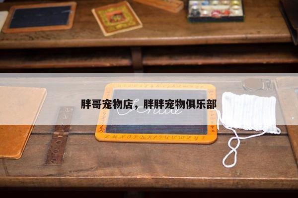 胖哥宠物店，胖胖宠物俱乐部