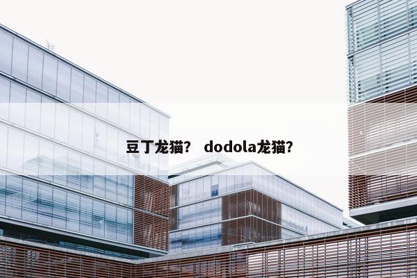 豆丁龙猫？ dodola龙猫？