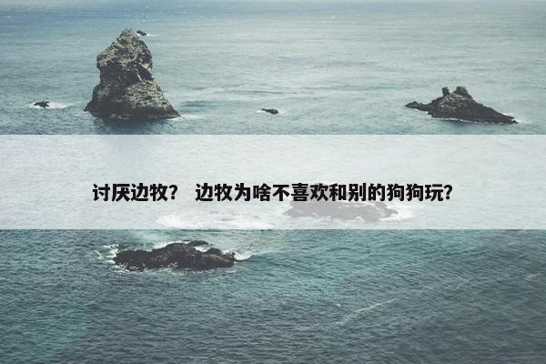 讨厌边牧？ 边牧为啥不喜欢和别的狗狗玩？