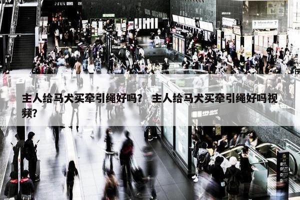 主人给马犬买牵引绳好吗？ 主人给马犬买牵引绳好吗视频？
