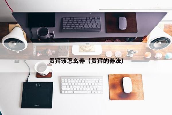 贵宾该怎么养（贵宾的养法）