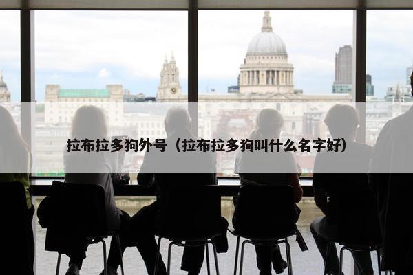 拉布拉多狗外号（拉布拉多狗叫什么名字好）