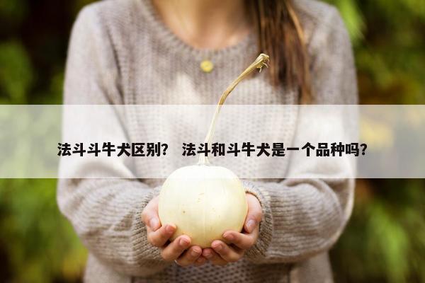 法斗斗牛犬区别？ 法斗和斗牛犬是一个品种吗？
