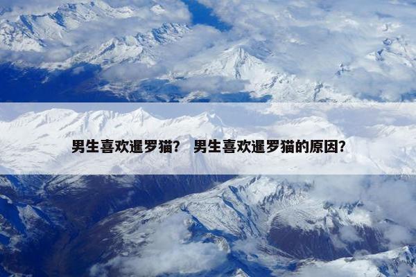 男生喜欢暹罗猫？ 男生喜欢暹罗猫的原因？