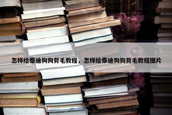 怎样给泰迪狗狗剪毛教程，怎样给泰迪狗狗剪毛教程图片