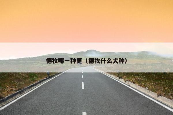 德牧哪一种更（德牧什么犬种）