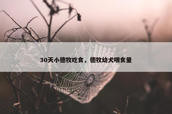 30天小德牧吃食，德牧幼犬喂食量