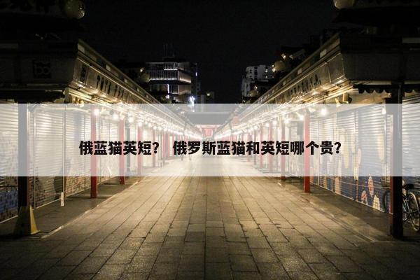 俄蓝猫英短？ 俄罗斯蓝猫和英短哪个贵？