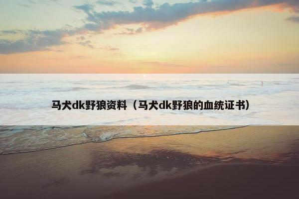 马犬dk野狼资料（马犬dk野狼的血统证书）