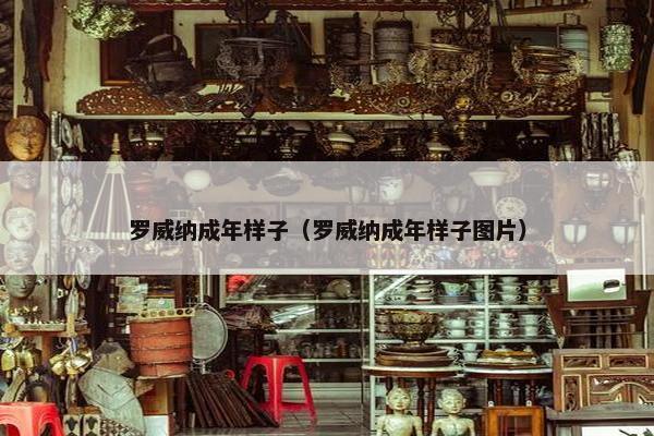 罗威纳成年样子（罗威纳成年样子图片）