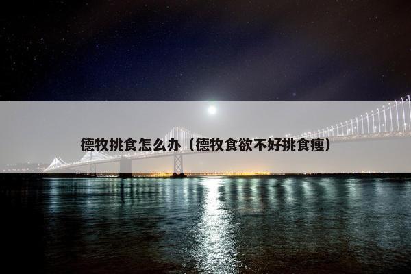德牧挑食怎么办（德牧食欲不好挑食瘦）