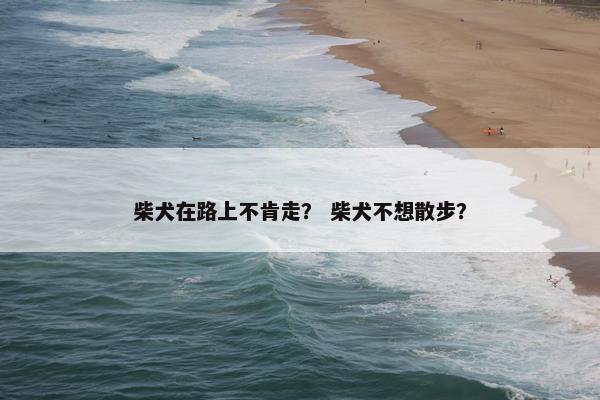 柴犬在路上不肯走？ 柴犬不想散步？