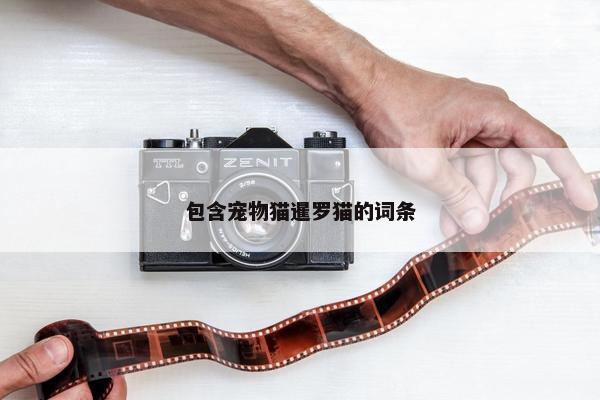 包含宠物猫暹罗猫的词条