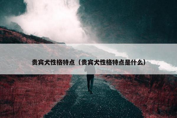 贵宾犬性格特点（贵宾犬性格特点是什么）