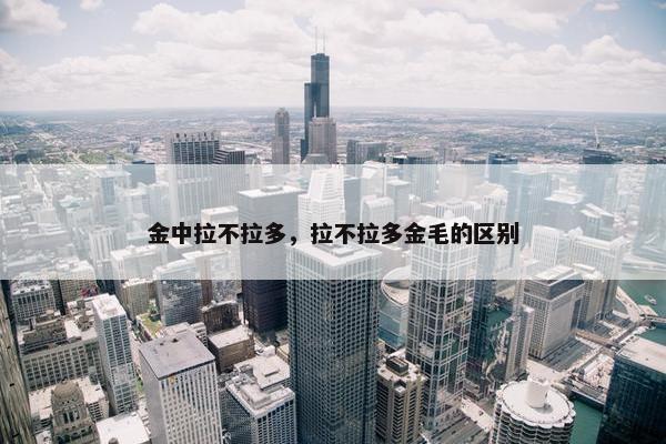 金中拉不拉多，拉不拉多金毛的区别