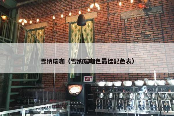 雪纳瑞咖（雪纳瑞咖色最佳配色表）