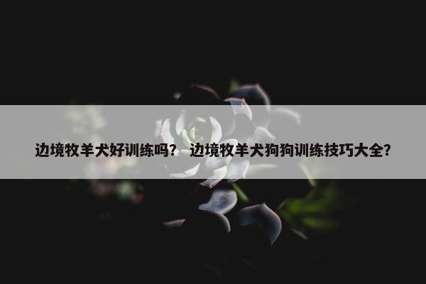 边境牧羊犬好训练吗？ 边境牧羊犬狗狗训练技巧大全？