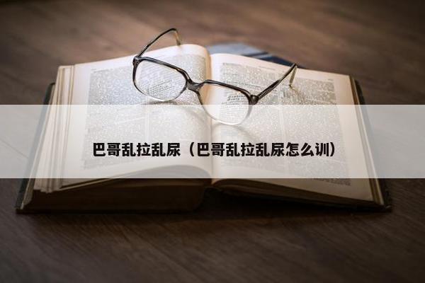 巴哥乱拉乱尿（巴哥乱拉乱尿怎么训）