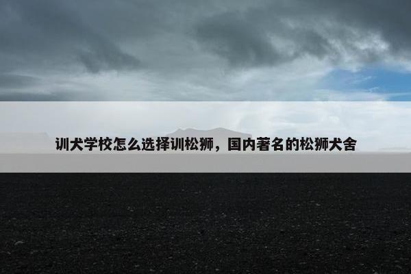 训犬学校怎么选择训松狮，国内著名的松狮犬舍