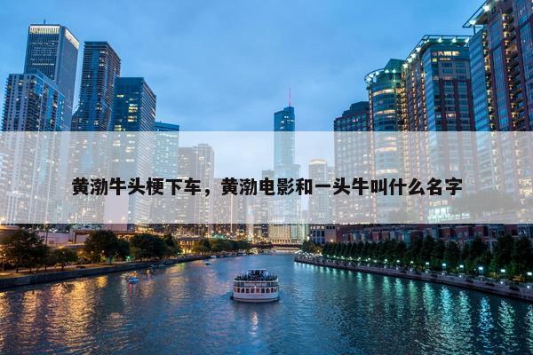 黄渤牛头梗下车，黄渤电影和一头牛叫什么名字