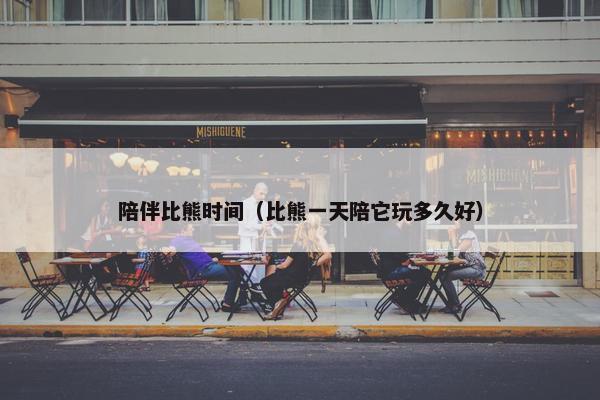 陪伴比熊时间（比熊一天陪它玩多久好）