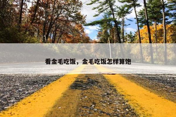 看金毛吃饭，金毛吃饭怎样算饱