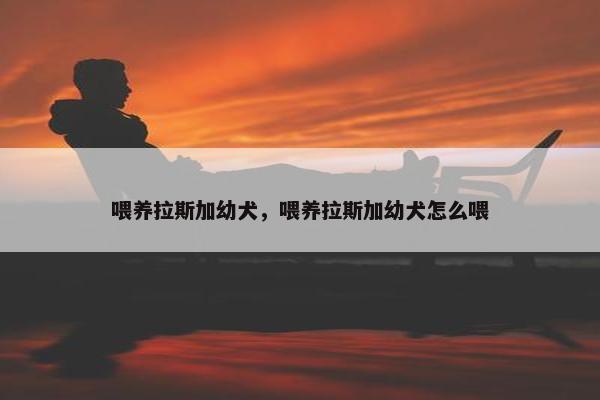 喂养拉斯加幼犬，喂养拉斯加幼犬怎么喂