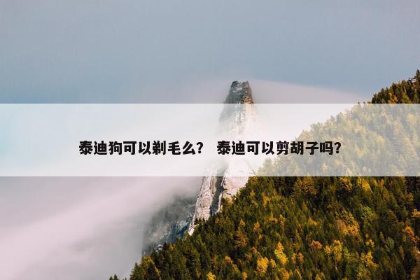 泰迪狗可以剃毛么？ 泰迪可以剪胡子吗？