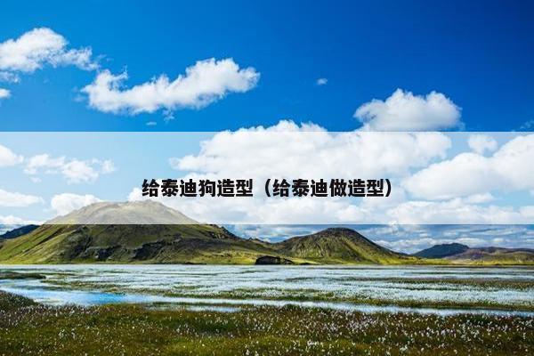 给泰迪狗造型（给泰迪做造型）