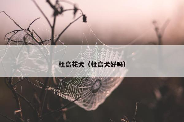 杜高花犬（杜高犬好吗）