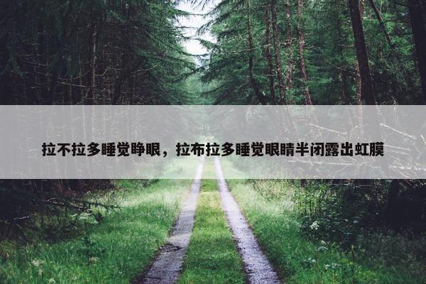 拉不拉多睡觉睁眼，拉布拉多睡觉眼睛半闭露出虹膜