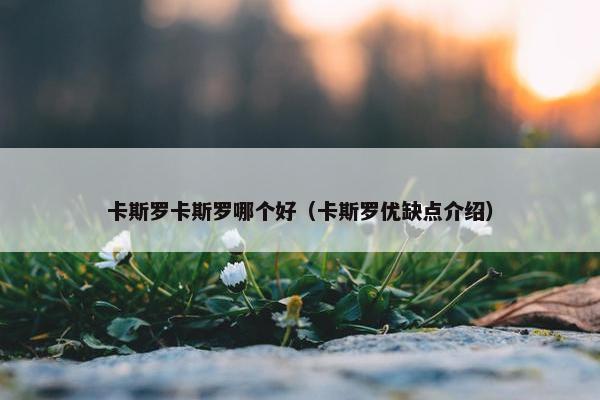 卡斯罗卡斯罗哪个好（卡斯罗优缺点介绍）