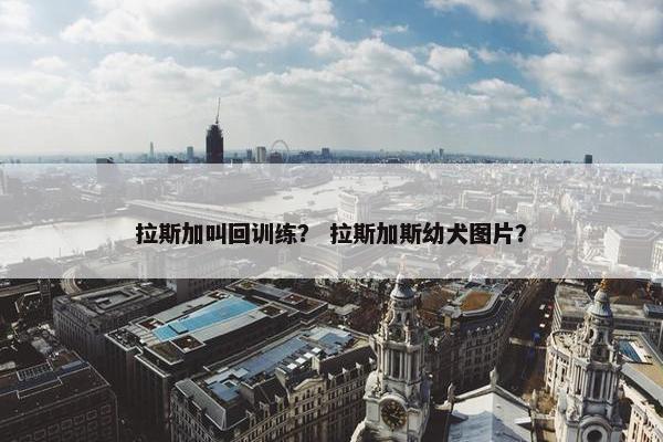 拉斯加叫回训练？ 拉斯加斯幼犬图片？