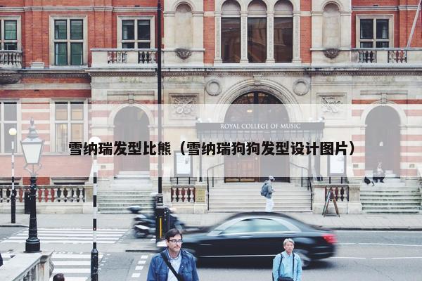 雪纳瑞发型比熊（雪纳瑞狗狗发型设计图片）