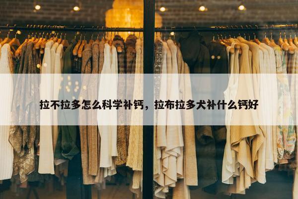 拉不拉多怎么科学补钙，拉布拉多犬补什么钙好