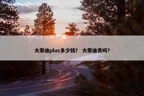 大泰迪plus多少钱？ 大泰迪贵吗？