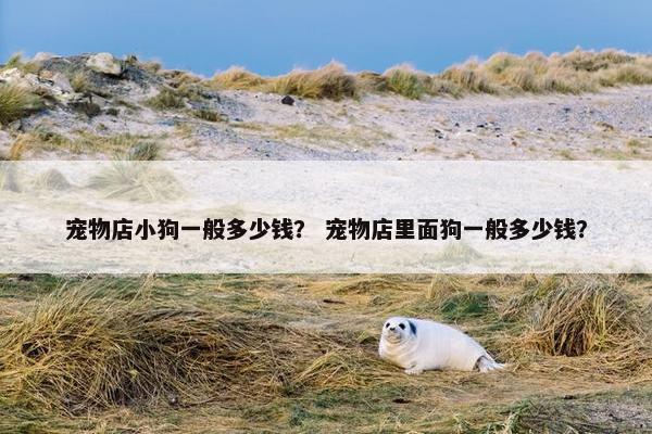 宠物店小狗一般多少钱？ 宠物店里面狗一般多少钱？