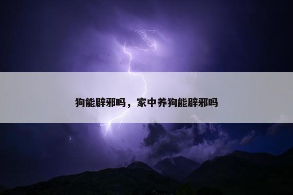 狗能辟邪吗，家中养狗能辟邪吗