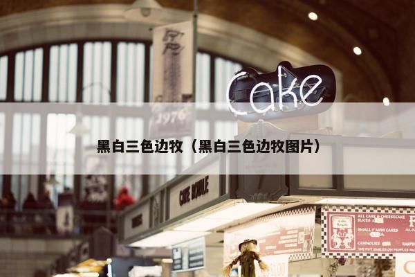 黑白三色边牧（黑白三色边牧图片）