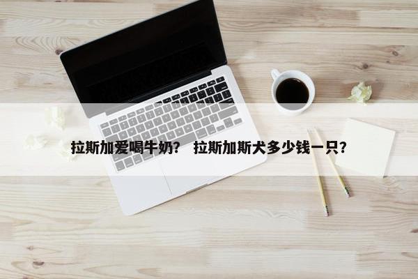 拉斯加爱喝牛奶？ 拉斯加斯犬多少钱一只？