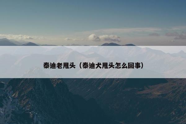 泰迪老甩头（泰迪犬甩头怎么回事）