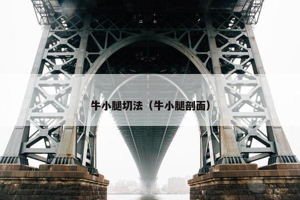 牛小腿切法（牛小腿剖面）