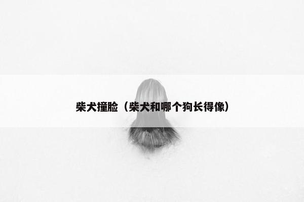 柴犬撞脸（柴犬和哪个狗长得像）